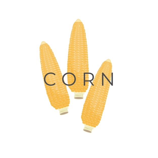 Simple Corn Vector Illustration Logo