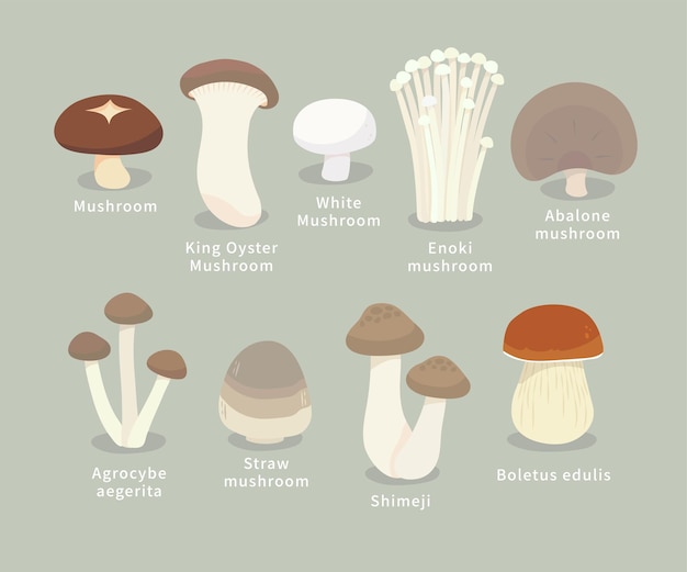 Vector simple cute mushroom element icon vector