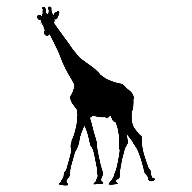 Vettore disegno semplice della silhouette di una giraffa