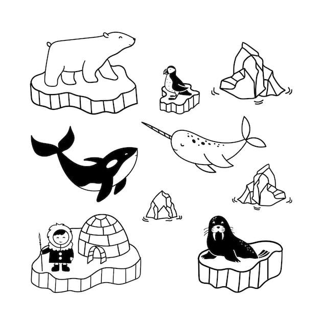 Simple doodle drawings about polar inhabitants - eskimo, bear, narwhal, killer whale, puffin and walrus.