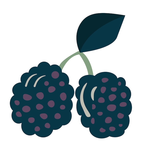 Vector simple doodle fruits on white simple doodle blueberry vector illustration eps10