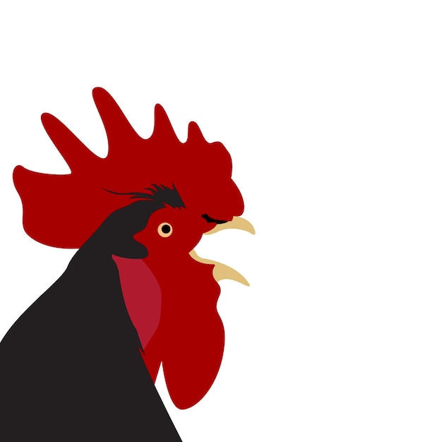 simple drawing of a roosters head vector illustration of a rooster head on an isolated background