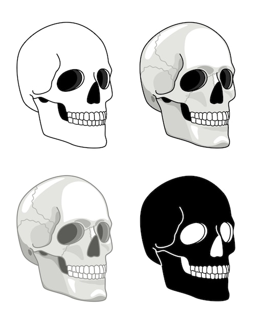 Teschio disegnato semplice. icone di teschi infernali vettoriali, teste di scheletri umani del tatuaggio per illustrazioni di halloween, schizzo di vista laterale del viso di morte isolato su sfondo bianco