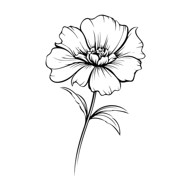 simple flower outline illustration