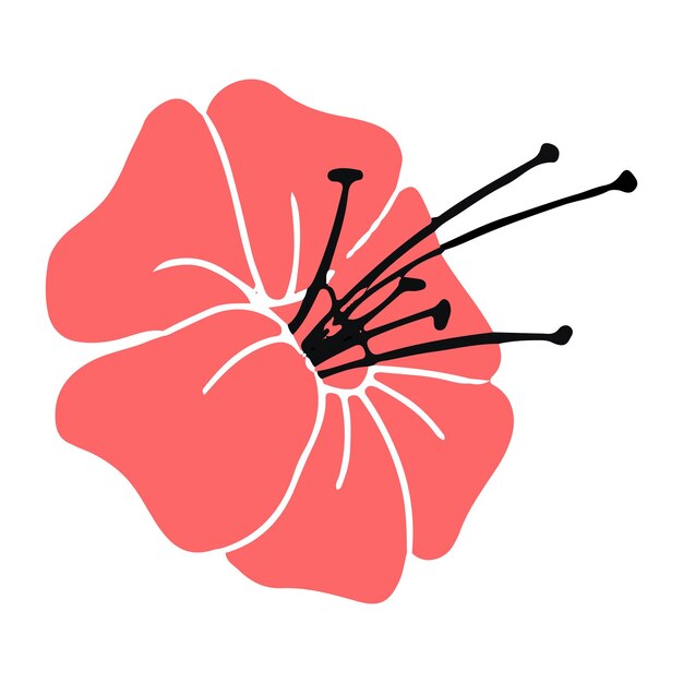 Простые цветочные летние растения векторная иллюстрация на белом фоне