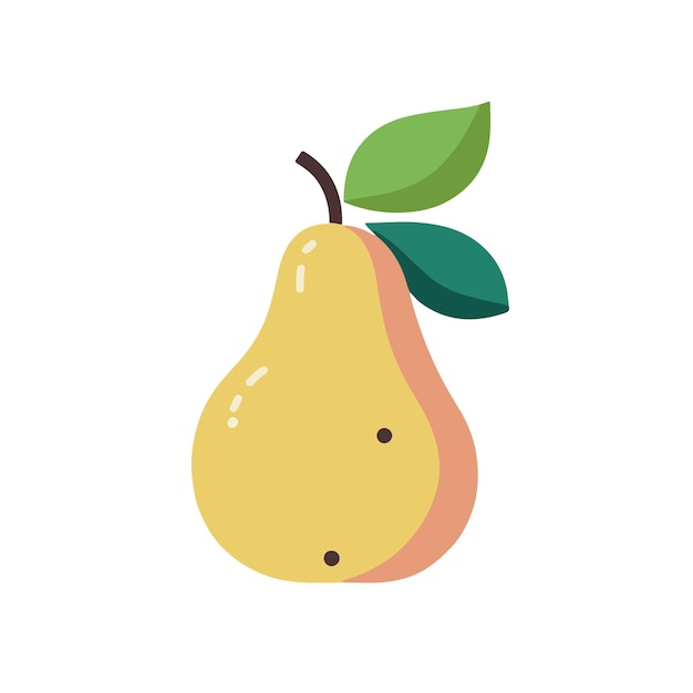 Vector simple fruits vectors