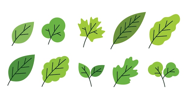 simple green leaves elements vector illustration