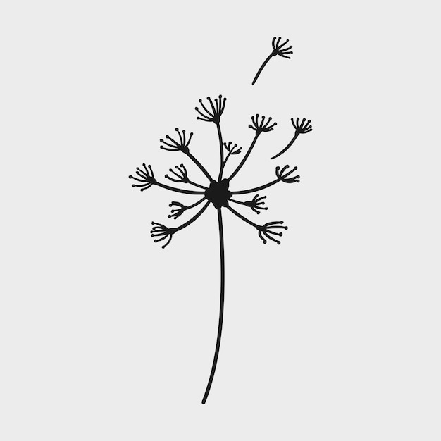 simple hand drawn of a dandelion flower dandelions blown by the wind vector illustration