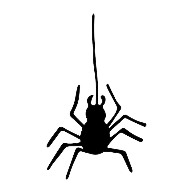 Simple hand drawn spider clipart Halloween doodle for print web design decor logo