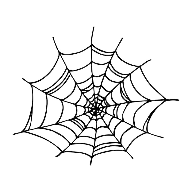 Vector simple hand drawn spider web illustration cute gossamer clipart halloween doodle