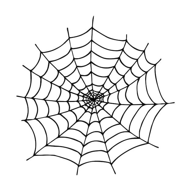 Simple hand drawn spider web illustration Cute gossamer clipart Halloween doodle