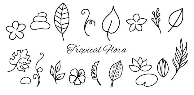 Simple hand drawn tropical floral vector design elements in doodle style set of leaves flowers