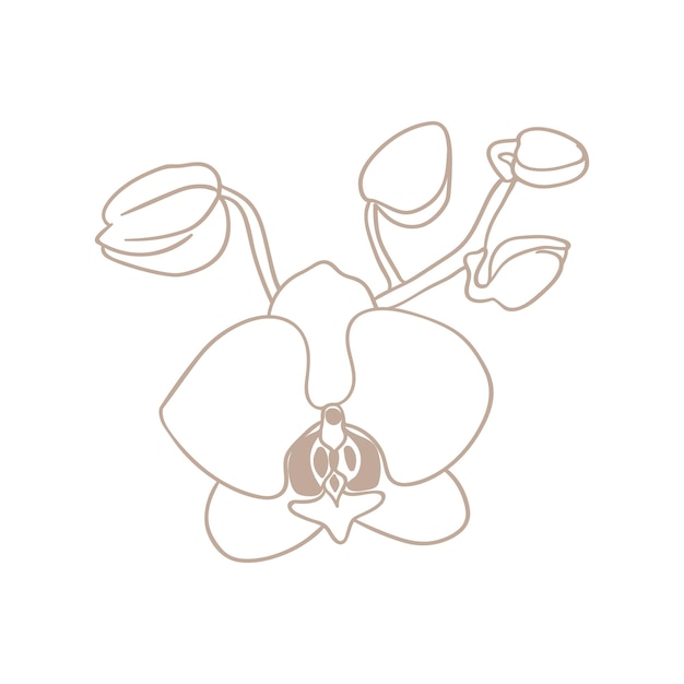 Simple icon of orchid flower twig with buds Blooming orchid line drawing