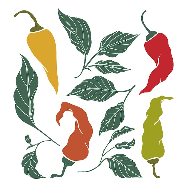 Simple icons of hot chili pepper pods and leaves spices color set