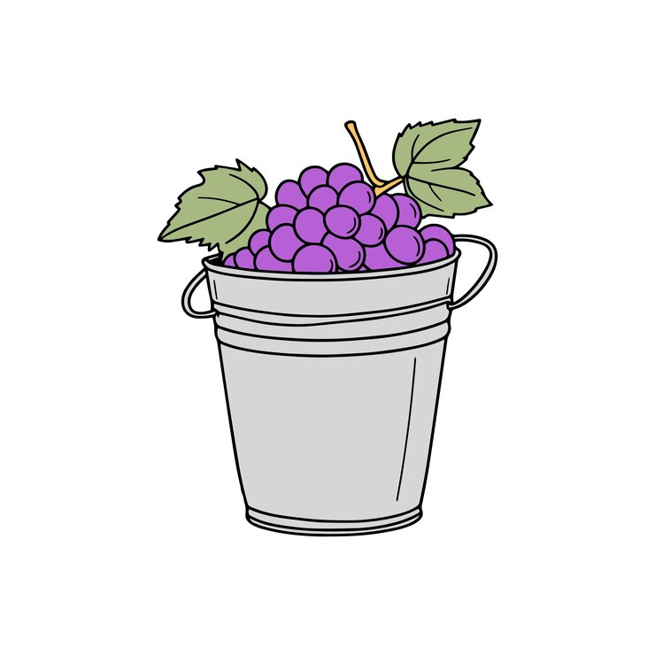 Vector simple illustration grapes in a can bucket