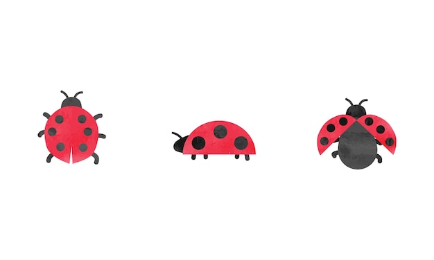 Simple ladybug watercolor drawing. Ladybugs set vector. Cute ladybug clipart. Hand drawn cartoon