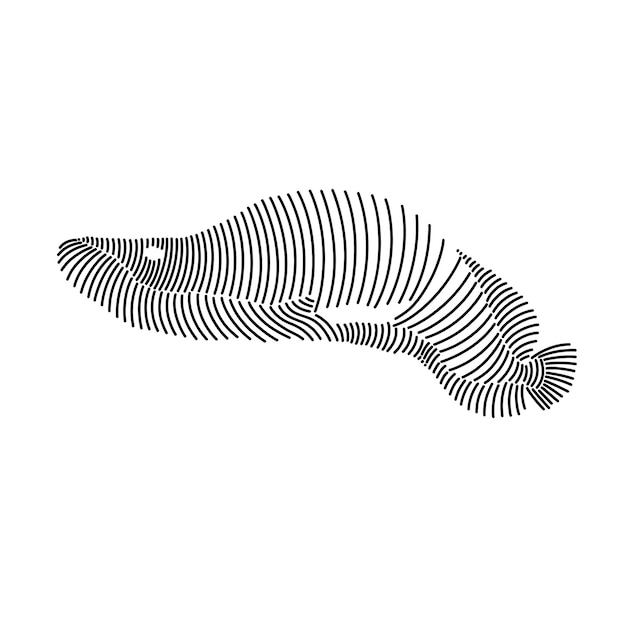 아라파이마 물고기의 간단한 라인 아트 일러스트레이션 1
