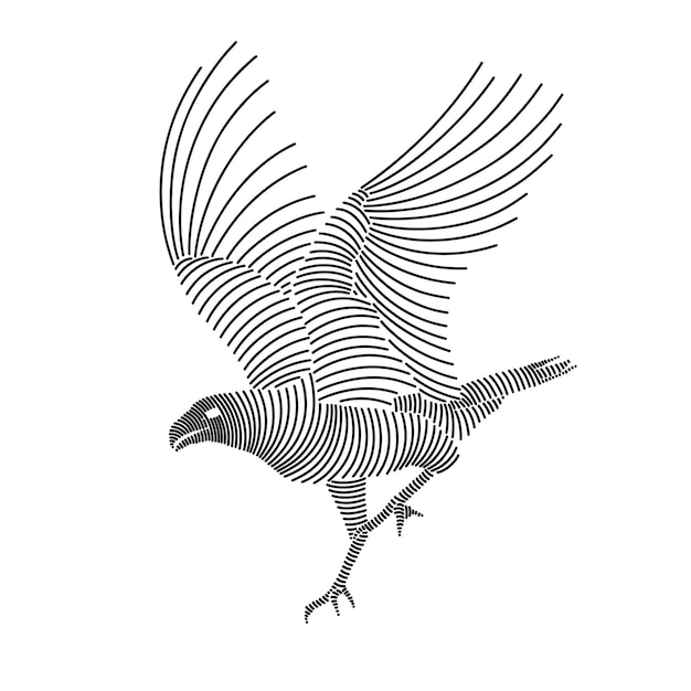 Simple line art illustration of caracara 3