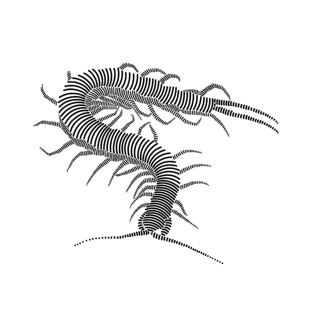 Simple line art illustration of a centipede 1