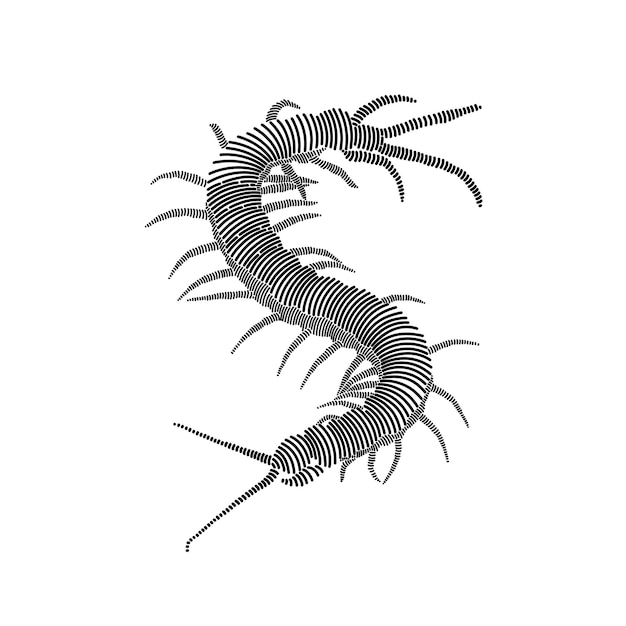 Simple line art illustration of a centipede 2