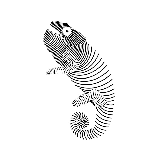 Vector simple line art illustration of a chameleon 3