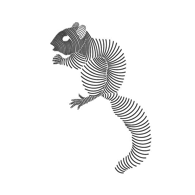 Vettore semplica illustrazione lineare di uno scoiattolo 3