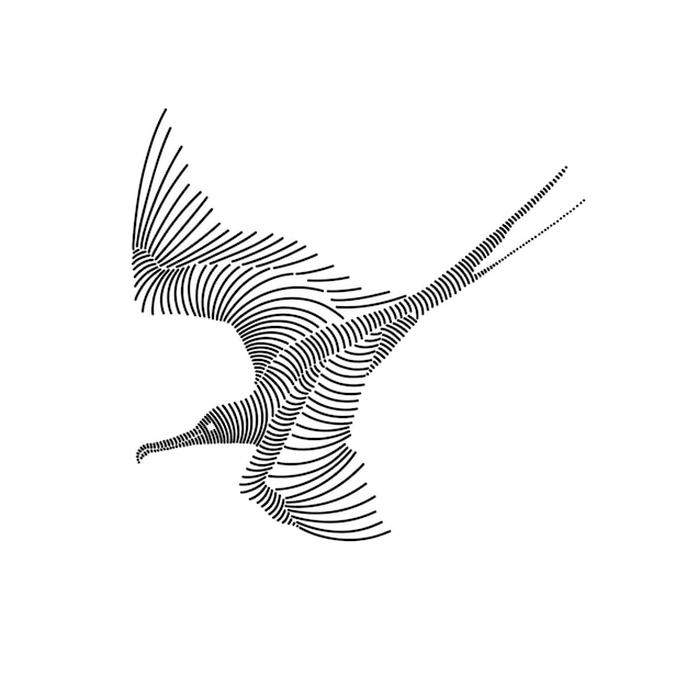 Simple line art illustration of a frigatebird 3