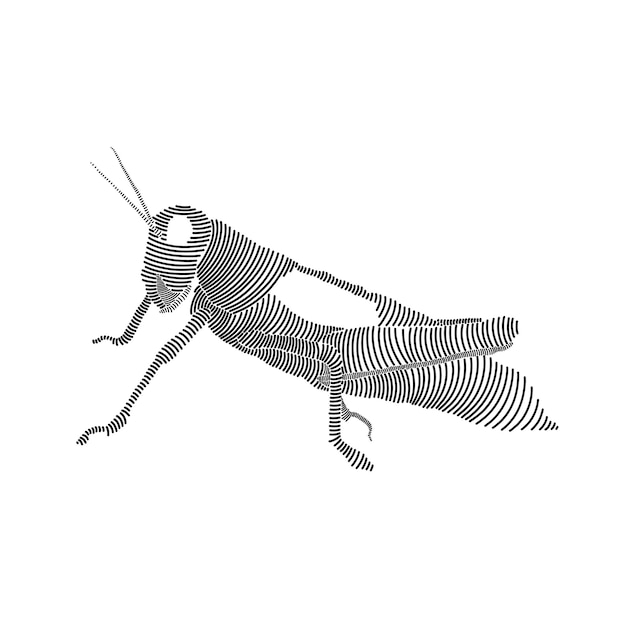 Simple line art illustration of a grasshopper 3
