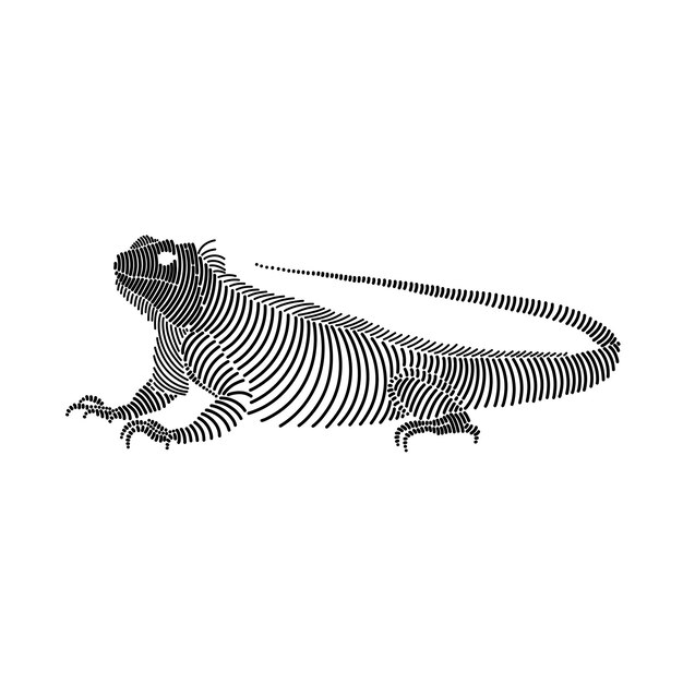 Vector simple line art illustration of an iguana 2