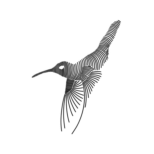 Простая иллюстрация колибри 1