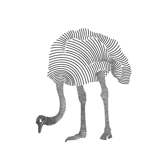 Simple line art illustration of an ostrich 1