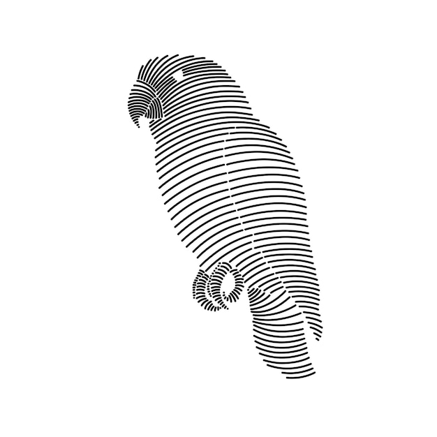 Simple line art illustration of a parrot 3