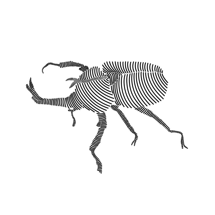Vector simple line art illustration of rhinoceros beetle 1