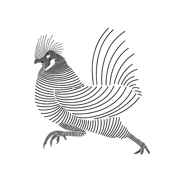 Vector simple line art illustration of a rooster 1