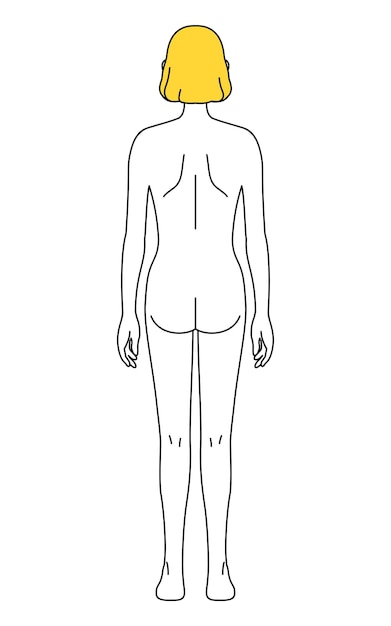 Vector simple line drawing of a female nude figure back view