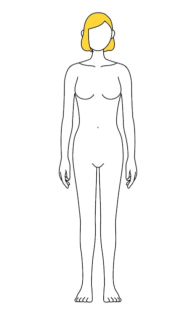 Vector simple line drawing of a female nude figure