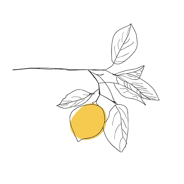 Semplica illustrazione di un limone su un ramo di un albero