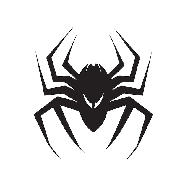 Simple minimal spider vector icon Isolated insect Black and white silhouette of bug Modern design