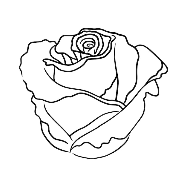 Vettore semplice e moderno doodle disegnato a mano rosa fiore natura linea in bianco e nero art clipart per la stampa
