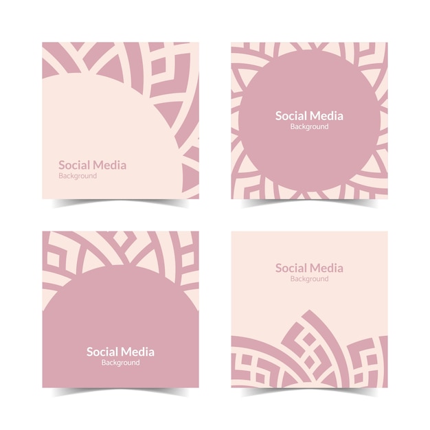 Vector simple and modern pink rose floral square flat social media background
