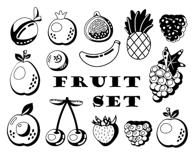 Simple outline fruit icon set isolated on white background Doodle line art vector summer juicy food silhouettes Juice package or logo design element