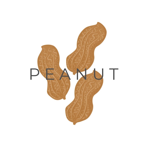 Simple peanut vector illustration logo