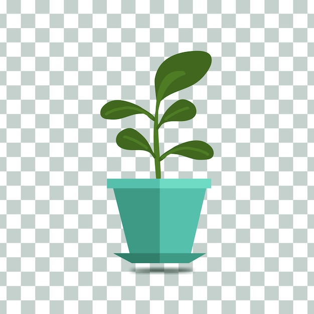 Vector a simple plant in a blue pot on a transparent background.