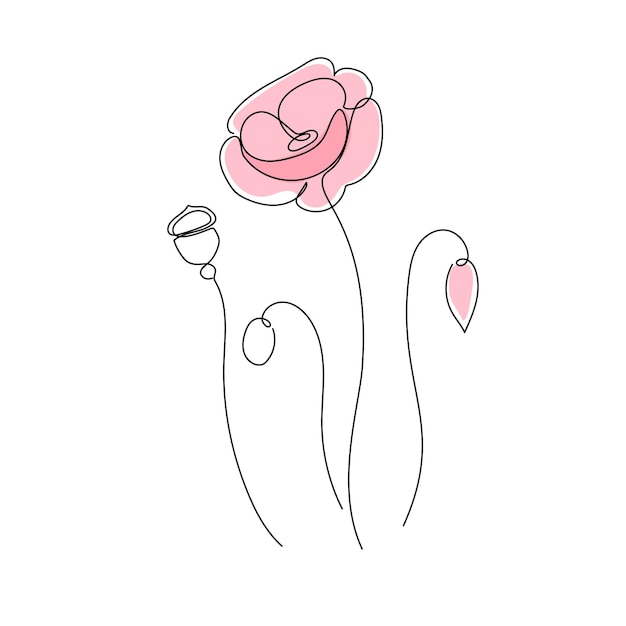 Simple poppy flower art One continuous line art decorative poppy draw Editable stroke flower floral element Isolated