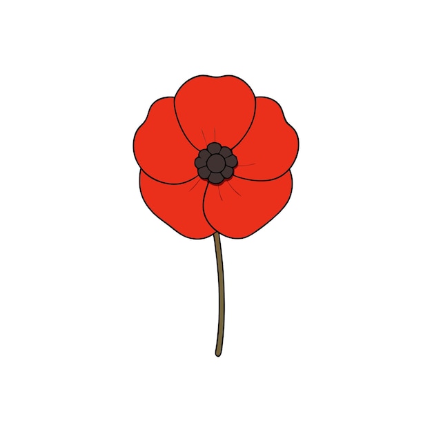 simple red poppy flower