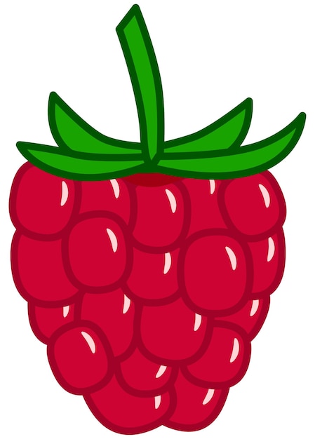 Vector simple red raspberry fruit icon with green leaves