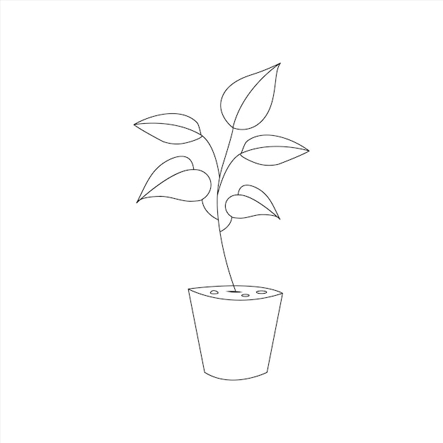 simple Rubber tree outline art drawing