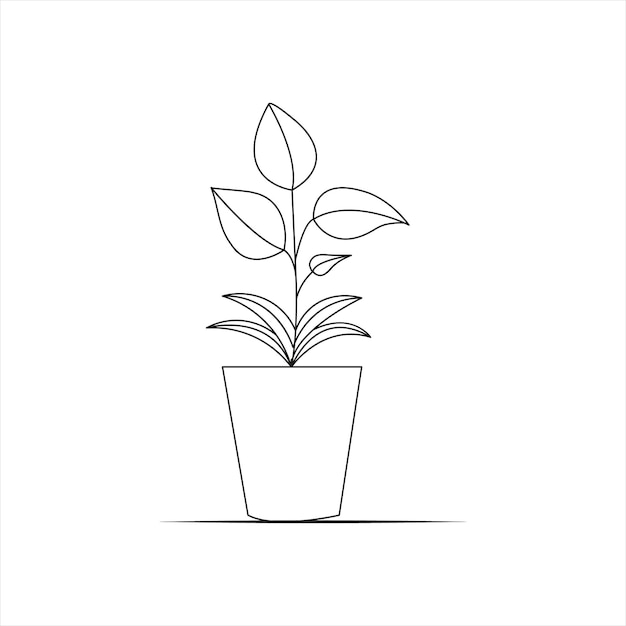 simple Rubber tree outline art drawing