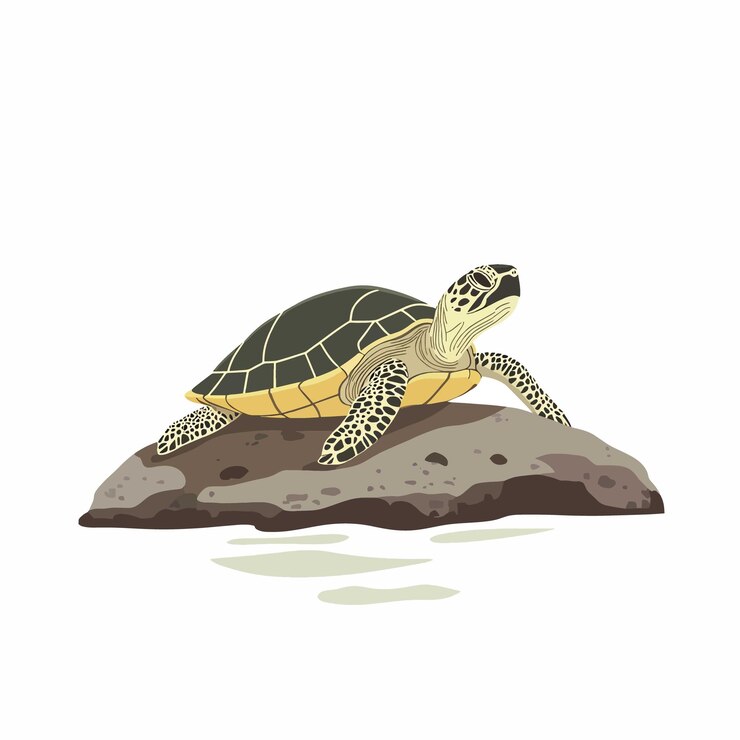 Vector simple a serene scene of a turtle sunbathing on a rock flar vector