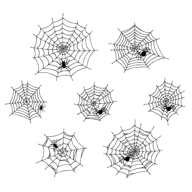 Simple set of hand drawn spider web illustration Cute gossamer clipart Halloween doodle